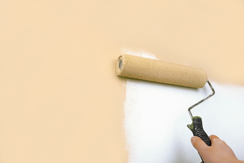 Professional House Painters