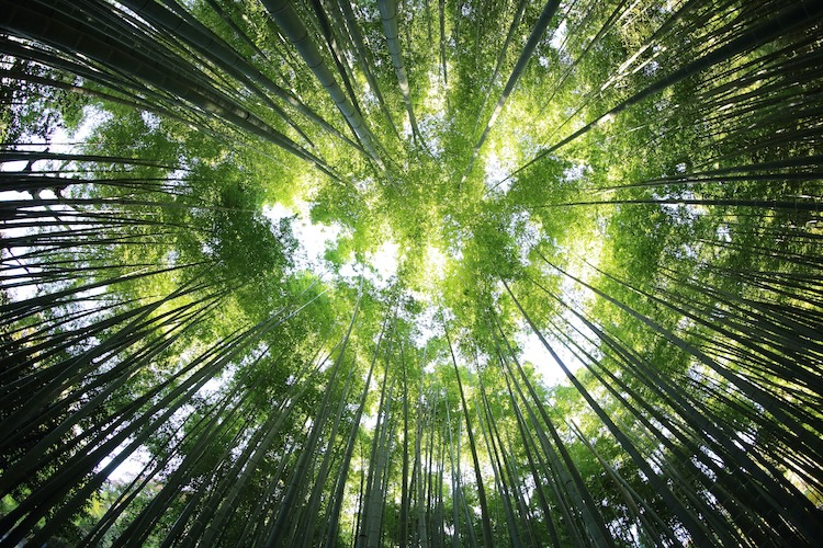 healthier Colorado homes